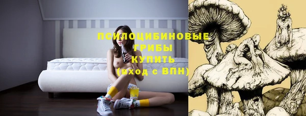 кокаин колумбия Алзамай