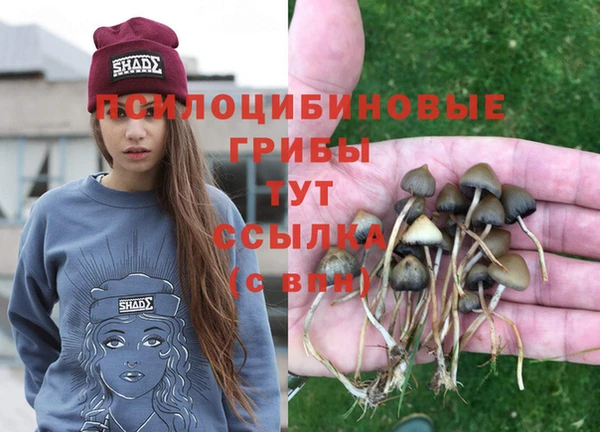кокаин колумбия Алзамай