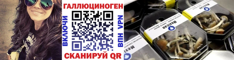 сайты даркнета официальный сайт  наркошоп  Кондопога  Галлюциногенные грибы мухоморы  kraken ССЫЛКА 