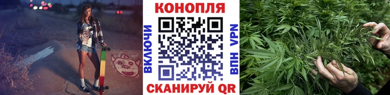 Конопля SATIVA & INDICA  гидра вход  Кондопога  цена  